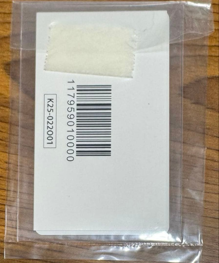 特製e-amusement pass BisCo メイド衣装Ver.