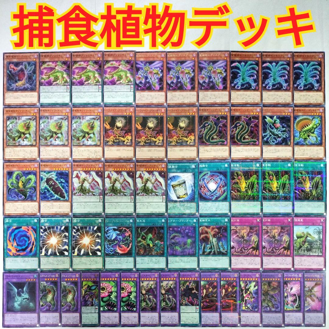 遊戯王 構築済み 捕食植物 プレデタープランツ デッキ】捕食活動 超