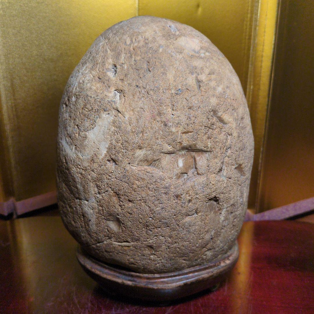 木化石 珪化木 水石 天然石 鑑賞石 約2.8kg 自然石 木製専用台座