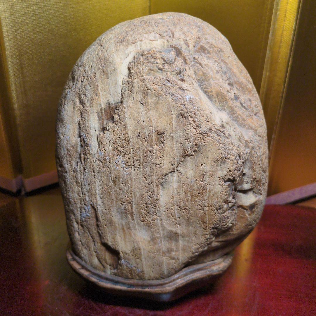 木化石 珪化木 水石 天然石 鑑賞石 約2.8kg 自然石 木製専用台座