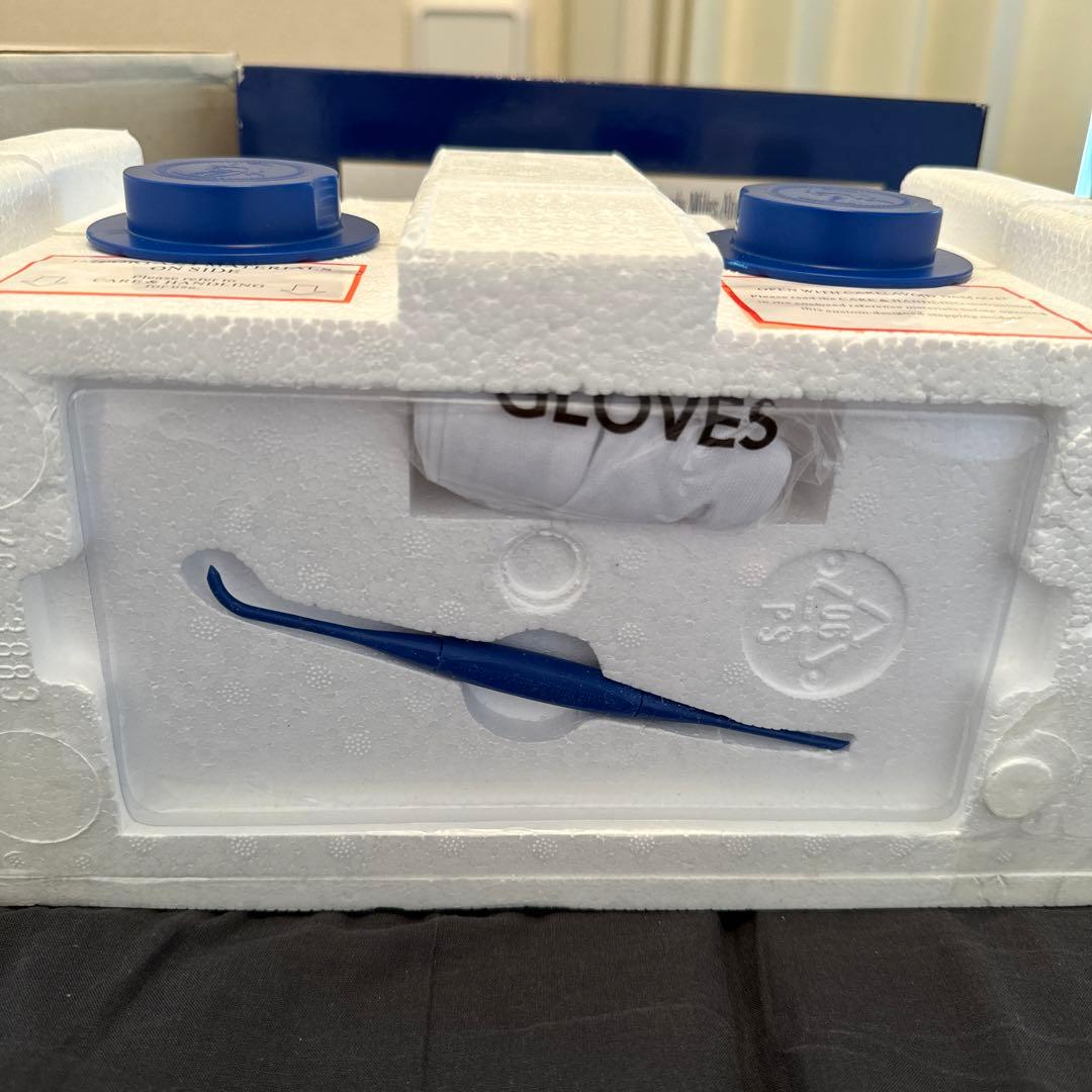 1/24 フランクリンミント 1963 コルベット スティングレイ ミニカー