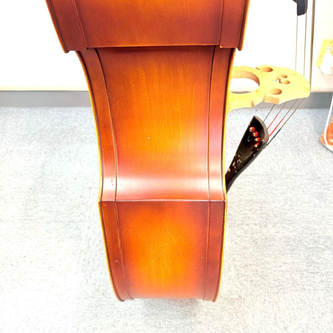 Hallstatt コントラバス WBS-800