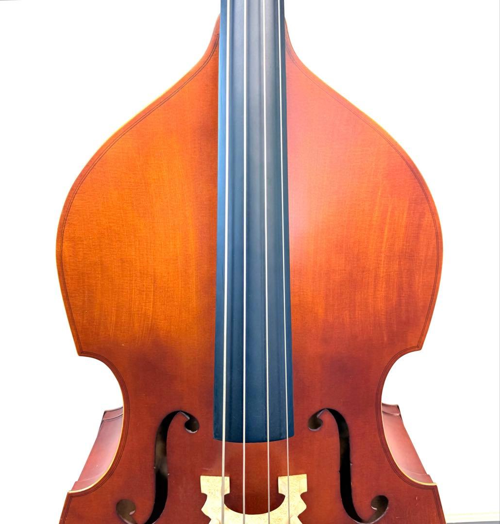 Hallstatt コントラバス WBS-800
