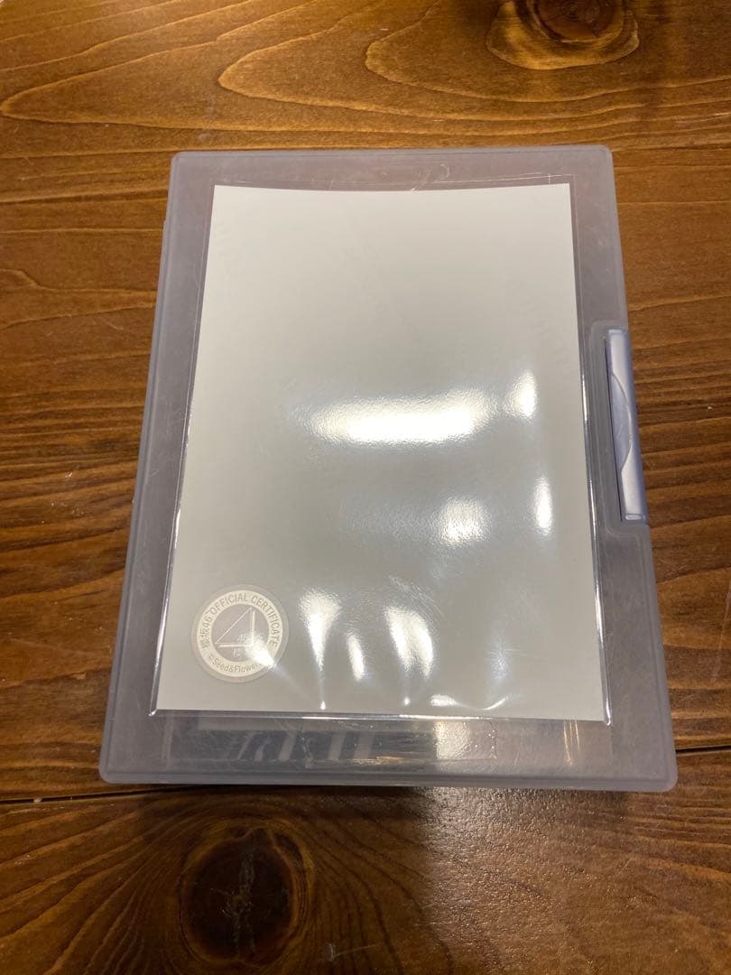 櫻坂46 藤吉夏鈴 2024 クリスマスサンタ衣装 直筆サイン 櫻坂46 石森