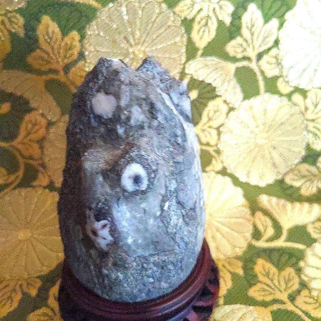 最終価格】門司 梅花石 台座付 水石 盆石 最終価格】門司 梅花石 台座