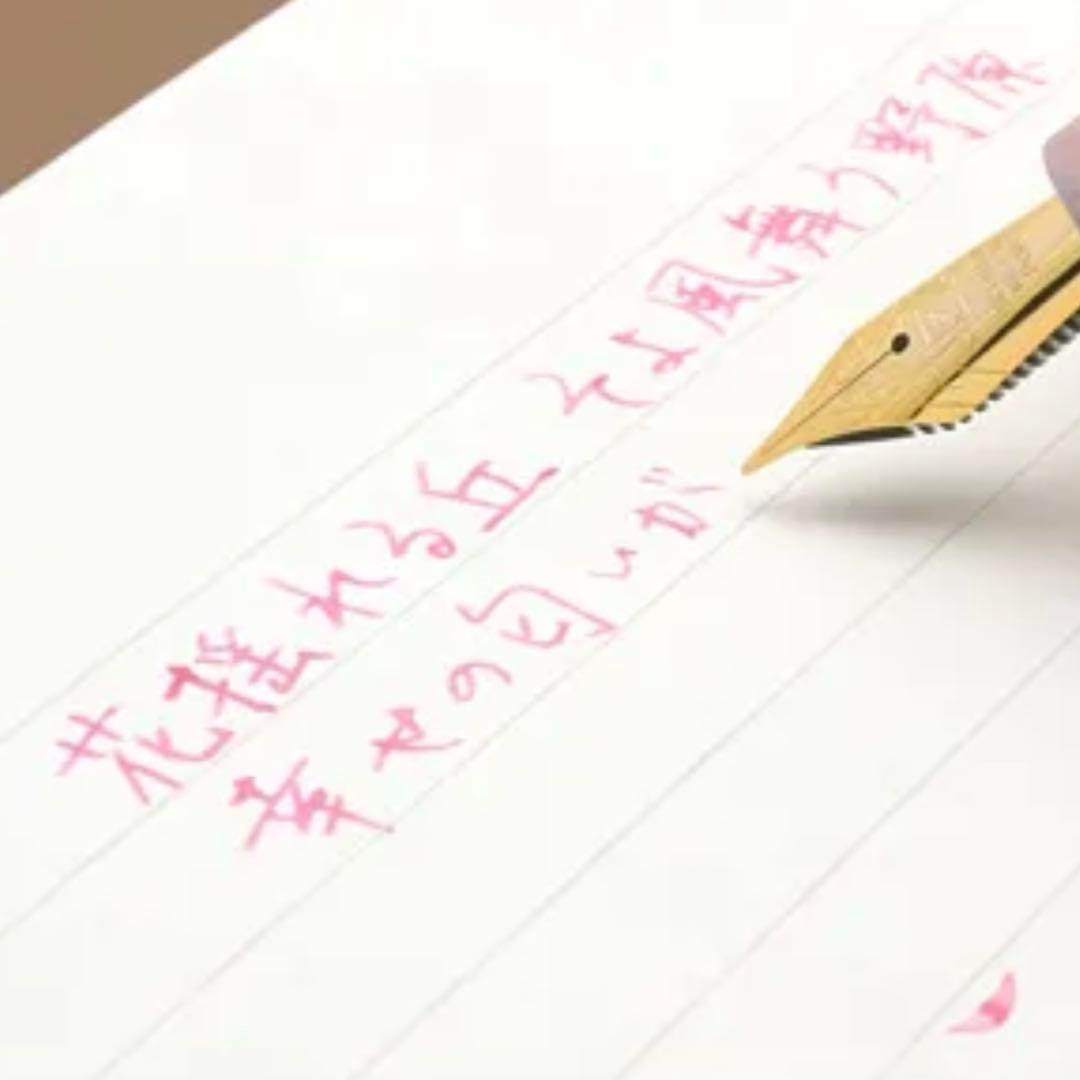 新品　絶版　Pent by 大西製作所 ★ 桜 万年筆 アセテート　轆轤手作り