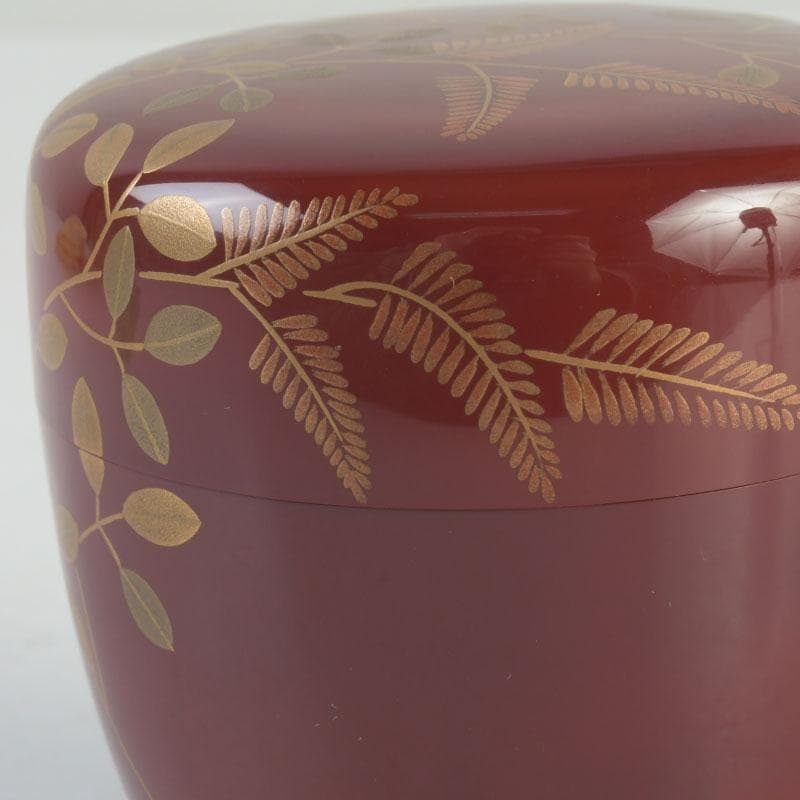 茶道具 朱塗 花草蒔絵 棗 時代箱付 V 9692