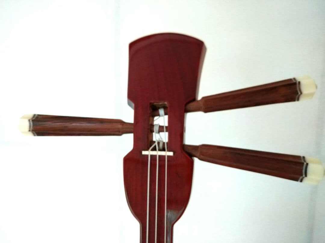 PIRLES バンジョー ハードケース付き PIRLES ピアレス 5弦バンジョー