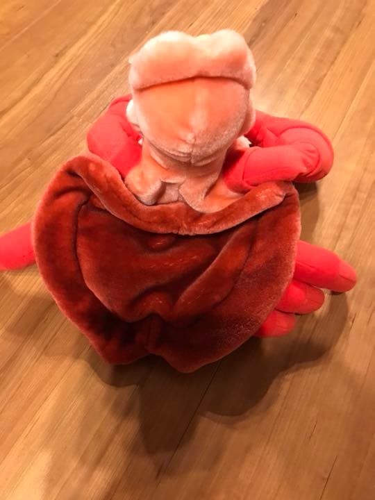 ディズニーシー ファンキャップ セバスチャン ディズニーシー新テーマ