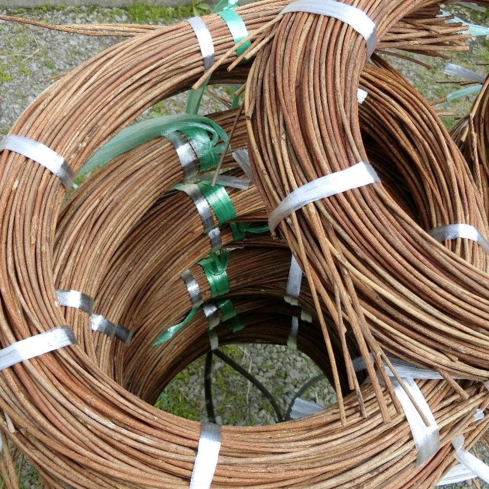 黄色いくまさん　青森岩木山採取　あけび蔓　150cm～ 15kg　1