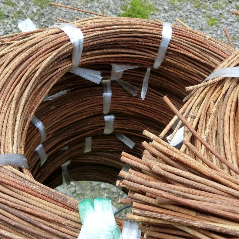 黄色いくまさん　青森岩木山採取　あけび蔓　150cm～ 15kg　1