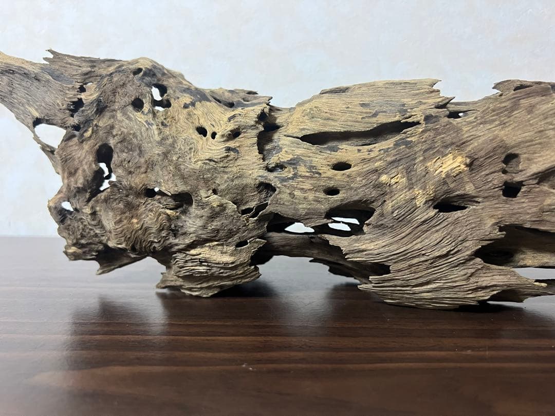 XM-456 流木 マシンガンウッド アクアリウム ブランチウッド 沈水確認済