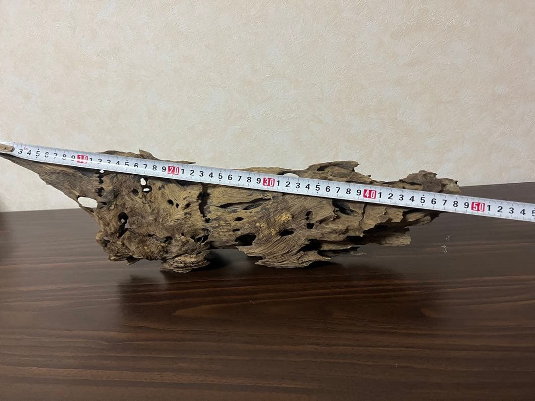 XM-456 流木 マシンガンウッド アクアリウム ブランチウッド 沈水確認済