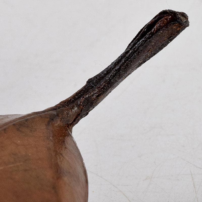 茶道具　塗師　新井宗賀作　乾漆　柿の葉香合　共箱　V　8833