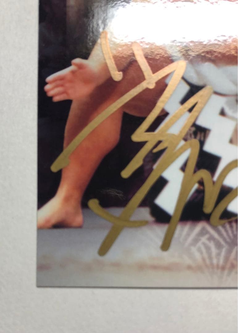 BBM2010 横綱・北勝海直筆サインカード