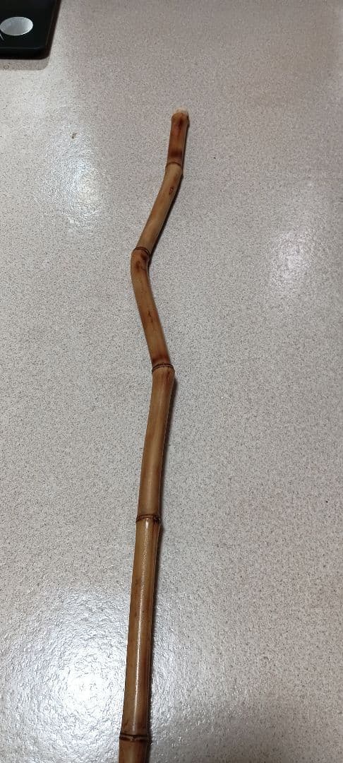 天然 真竹製 くの字曲がりのある竹杖工芸品 炙り焼 新品 杖ゴム付