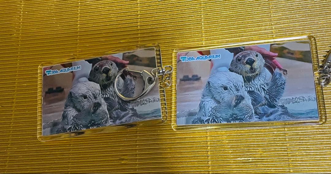 鳥羽水族館⭐️ラッコ⭐️キラ✖️メイ⭐️キーホルダー⭐️４種８個セット