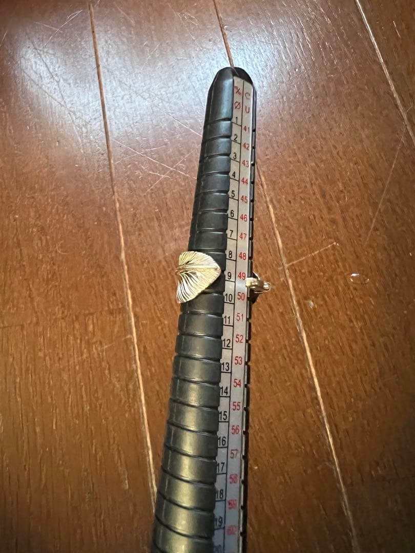 m*0様 アリゾナフリーダム　ハート付きフェザーリング　9号　ピンキーリング