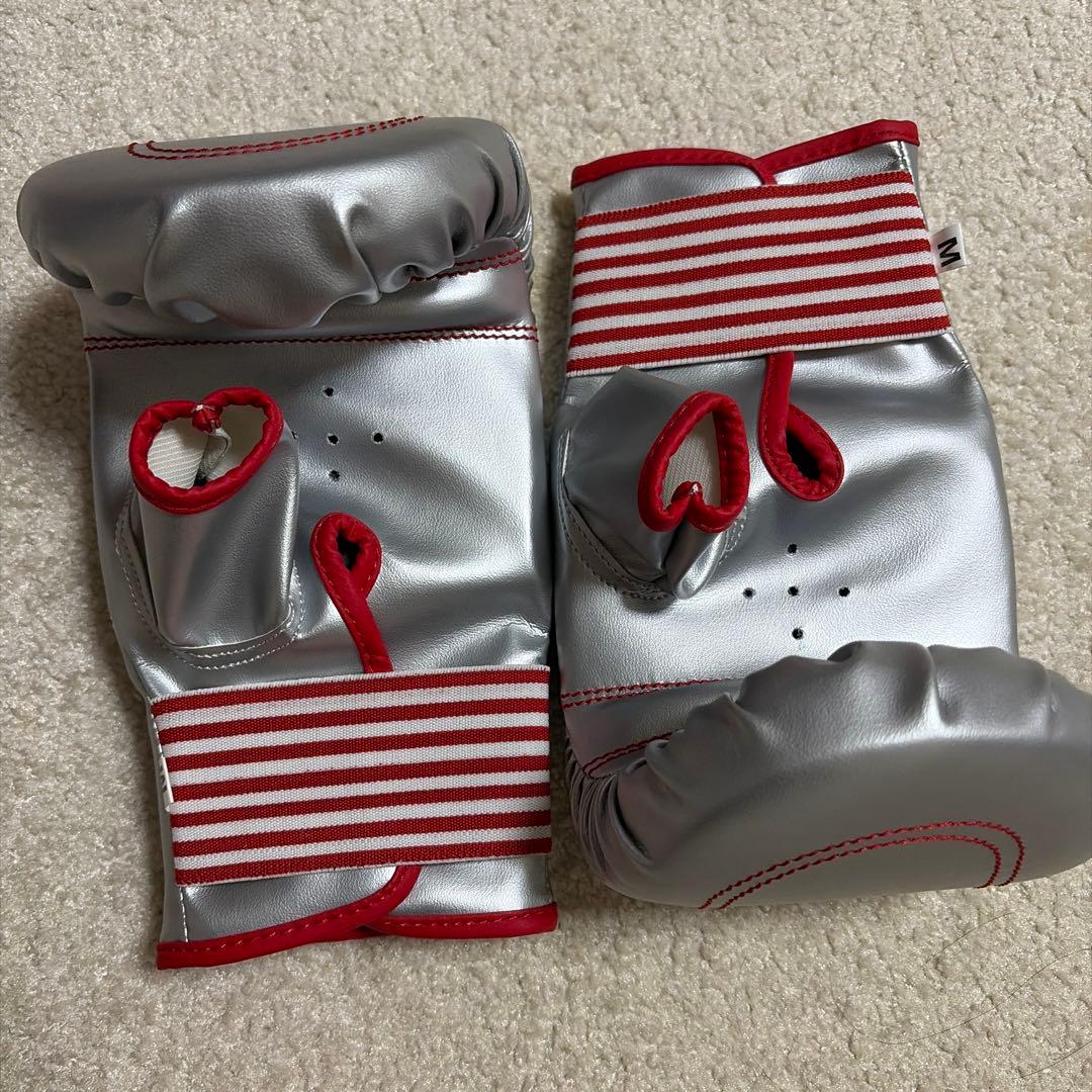 Bestler バイオリン 上海 4/4専用ケース付き 良品 1915-03-1