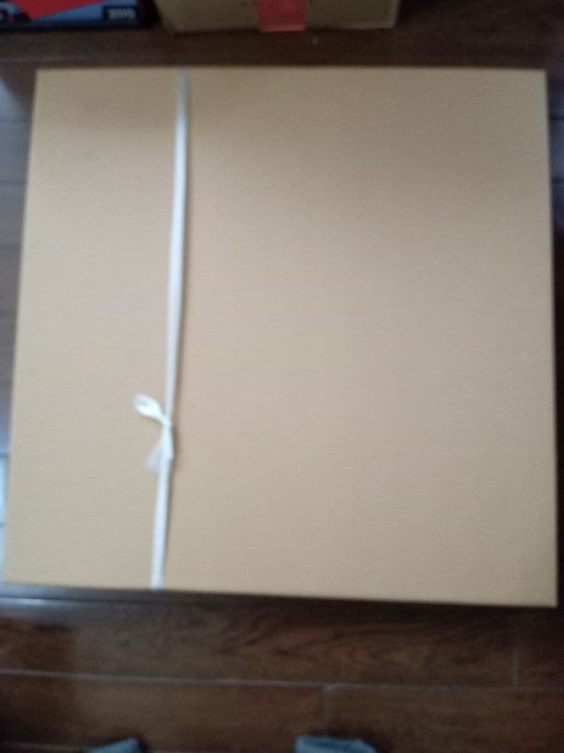 辻村史朗 肉筆 人物画 水墨画 額装