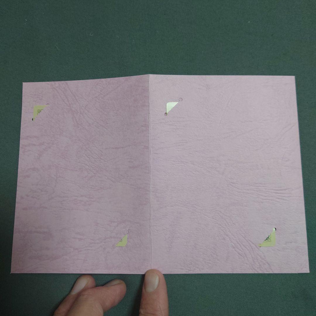 【美品】ジョジョの奇妙な冒険 空条承太郎カード 3枚セット ※キャンペーン当選品