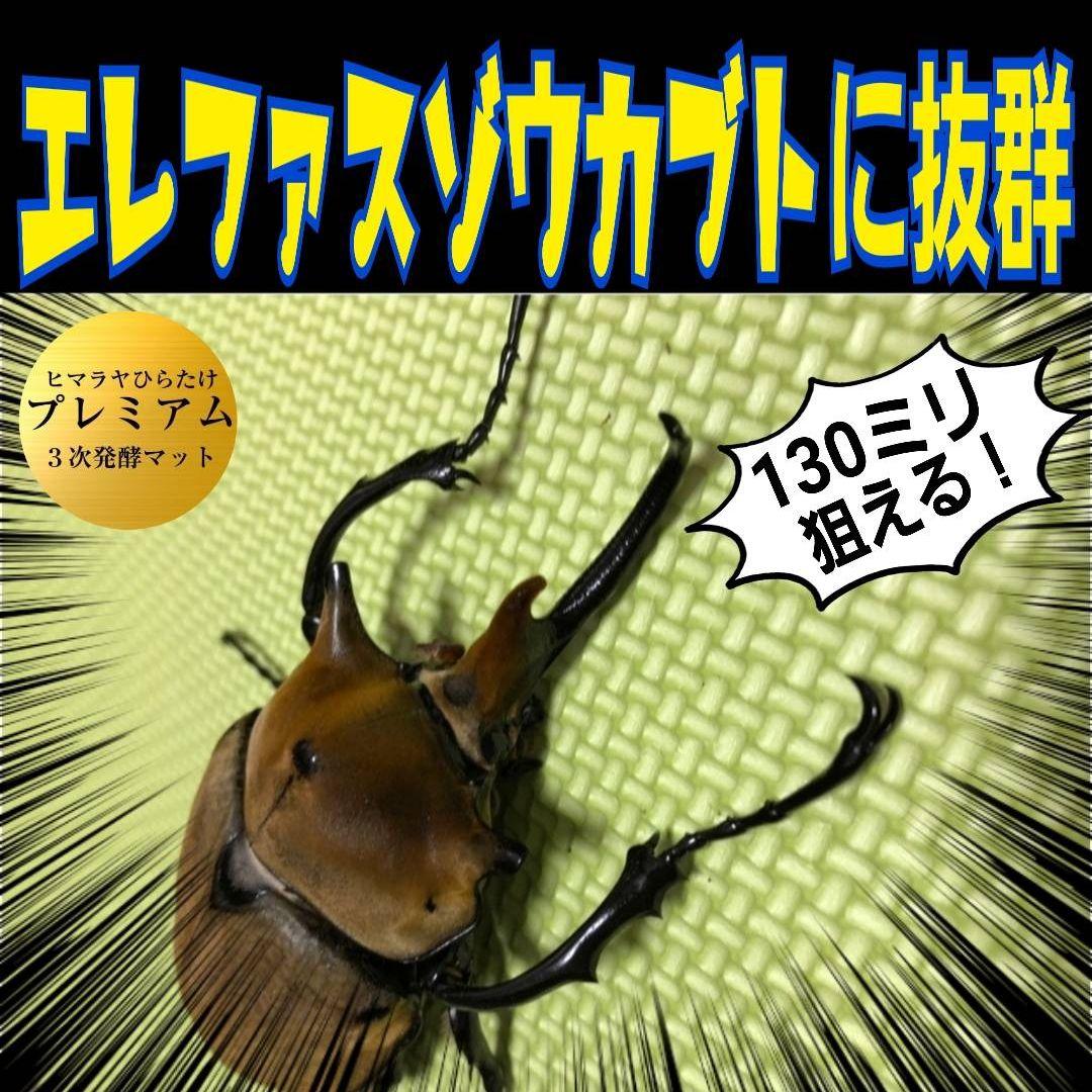 極上！プレミアム3次発酵カブトムシマット【50リットル】特殊アミノ酸
