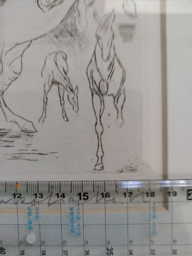 加藤助八。馬のエッチング　作品 　37/50
