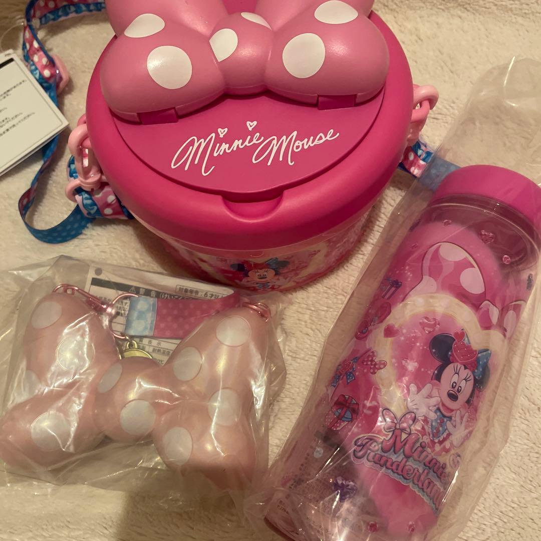 ミニー　ポップコーンバスケット　スーベニア　ディズニーパルパルーザ