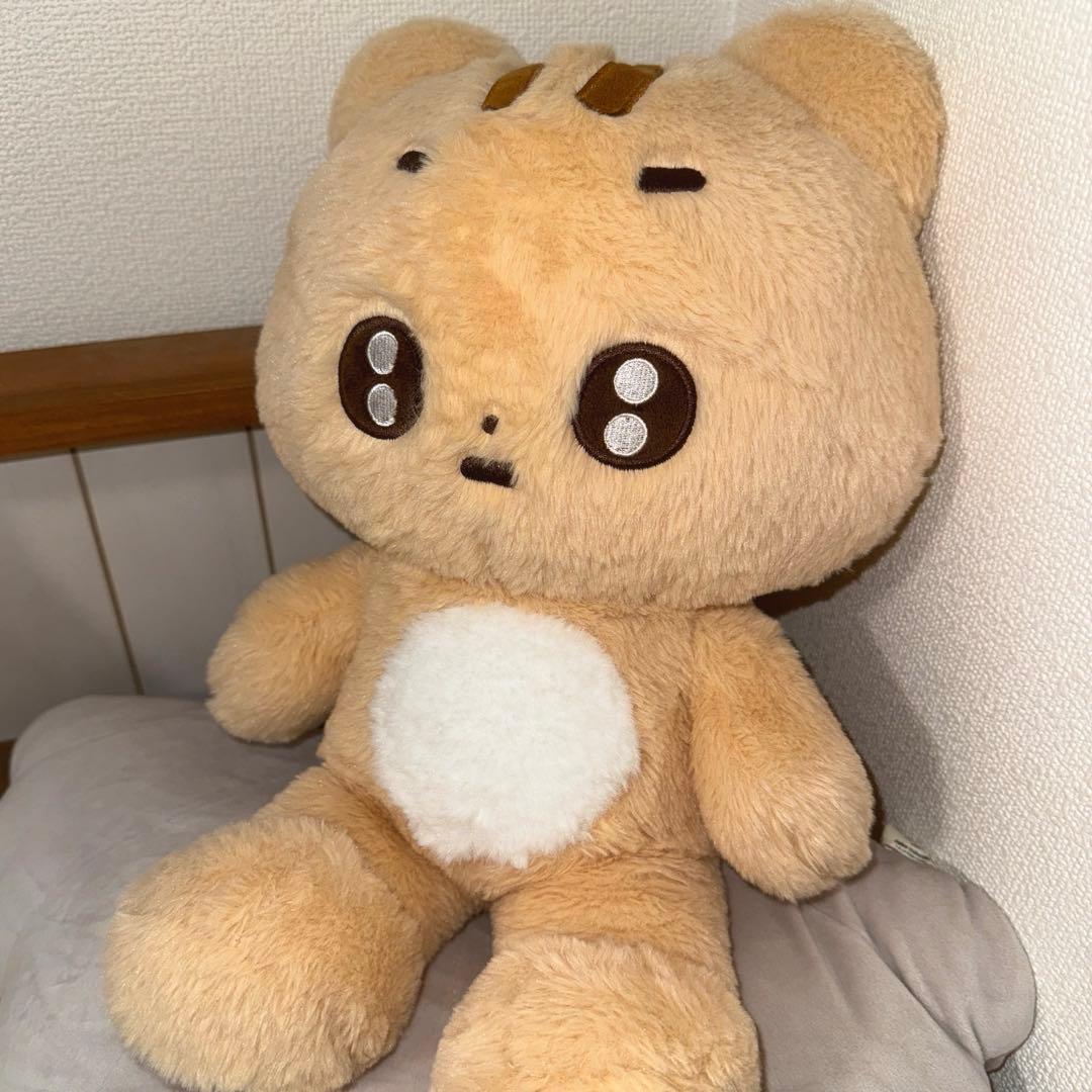 txt テヒョン　ポバトゥ　ワンバドゥ　ぬいぐるみ