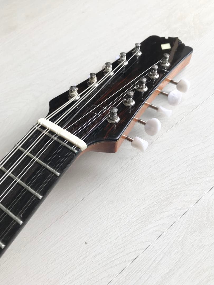 10弦バンドリン(マンドリン)