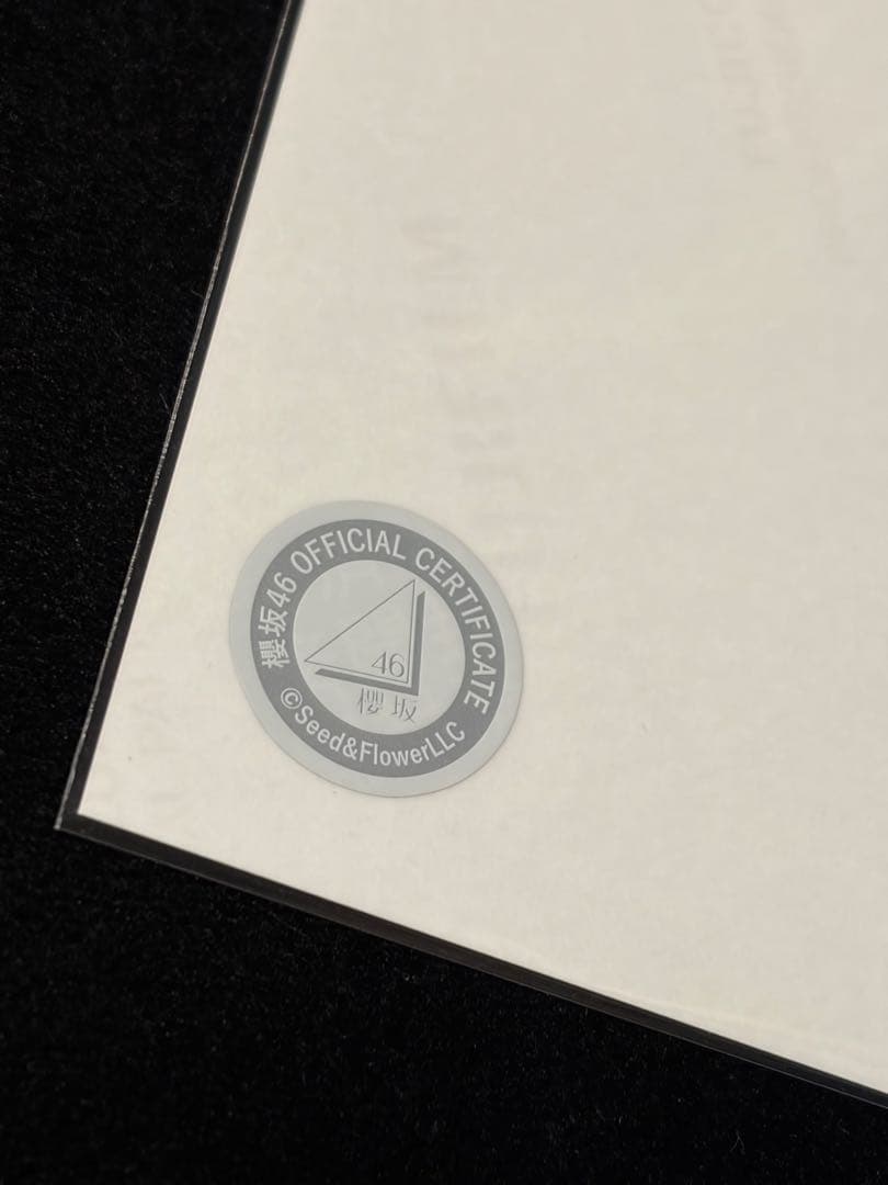 櫻坂46 浅井恋乃未 直筆サイン 生写真 2025年サンタ衣装 ヨリ