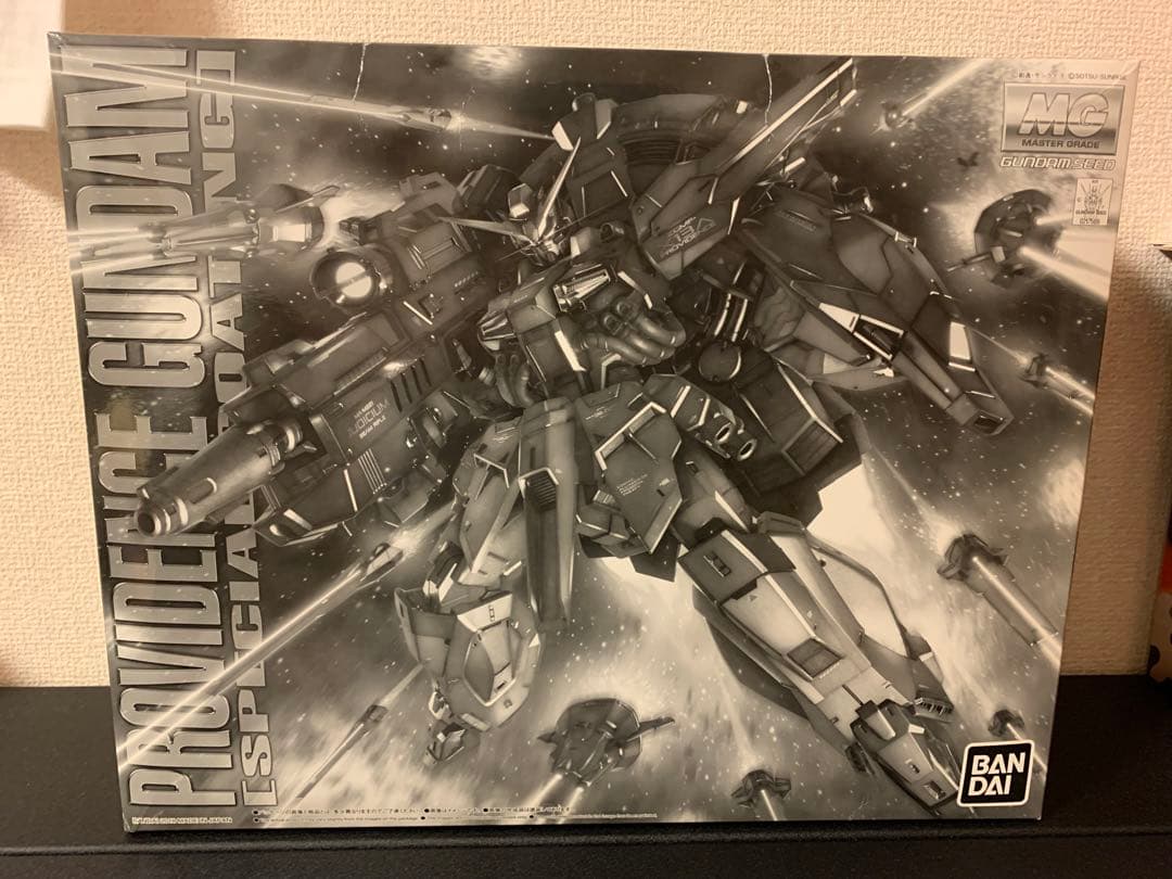 MG プロヴィデンスガンダム スペシャルコーティング 【GUNDAM SEED】MG