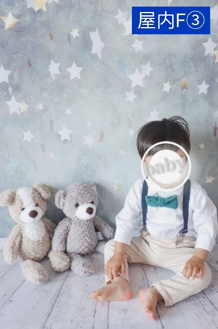 背景布【屋内V】ニューボーンフォト、ペット、ドール撮影用 空 薔薇