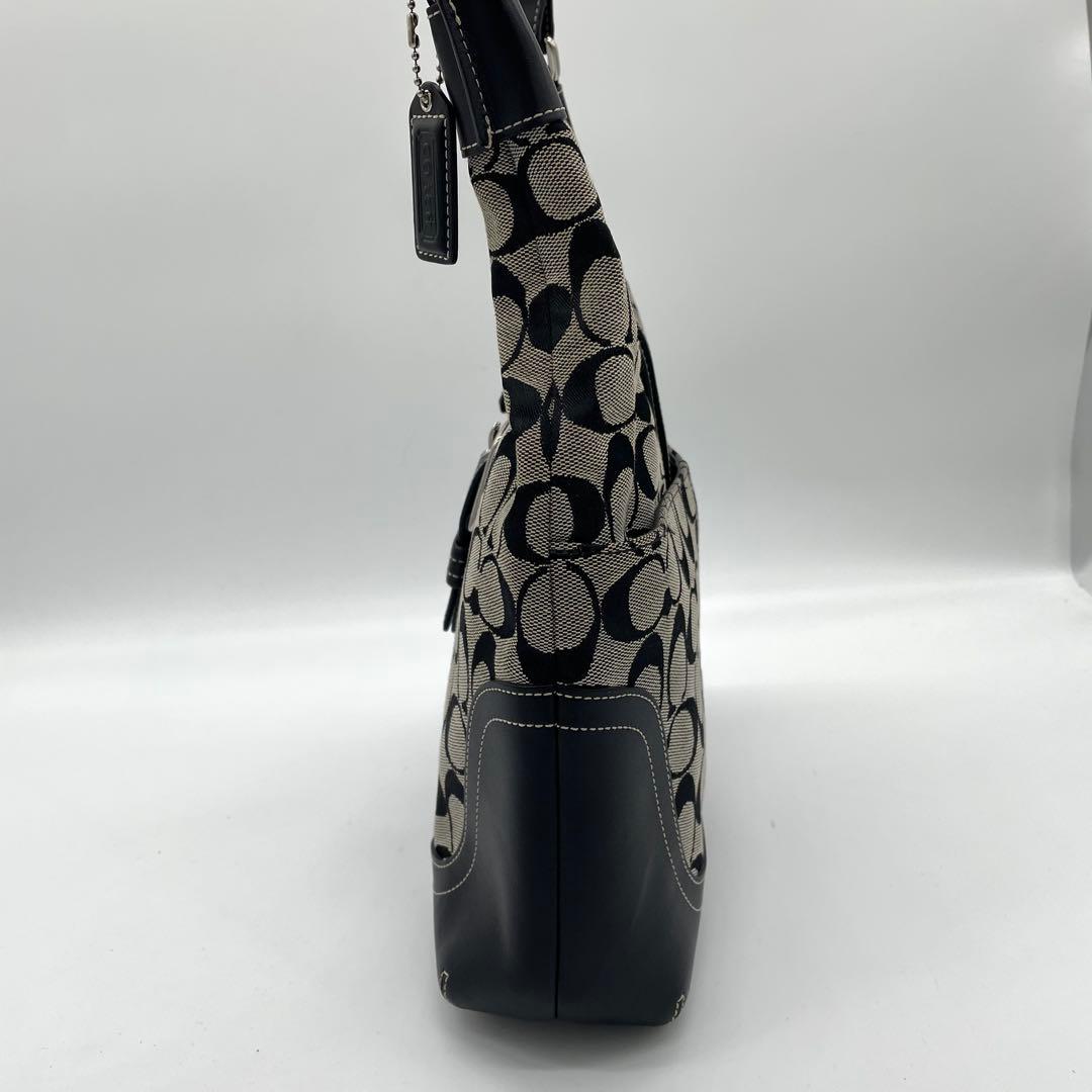 【美品】コーチ　ワンショルダーバッグ　タッセル　チャーム　シグネチャー