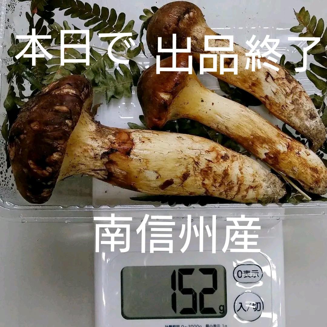 ストア 松茸 南信州産 南信州産 天然松茸 185g 信州南相木産「天然