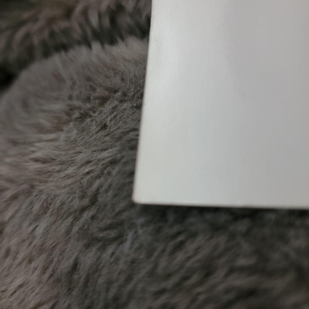 激レア】レベッカ 宣伝用写真2L - メルカリ