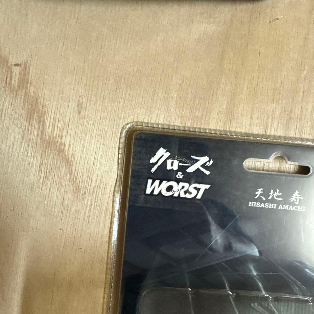 クローズ＆WORST天地寿スパイダーウェブ限定版