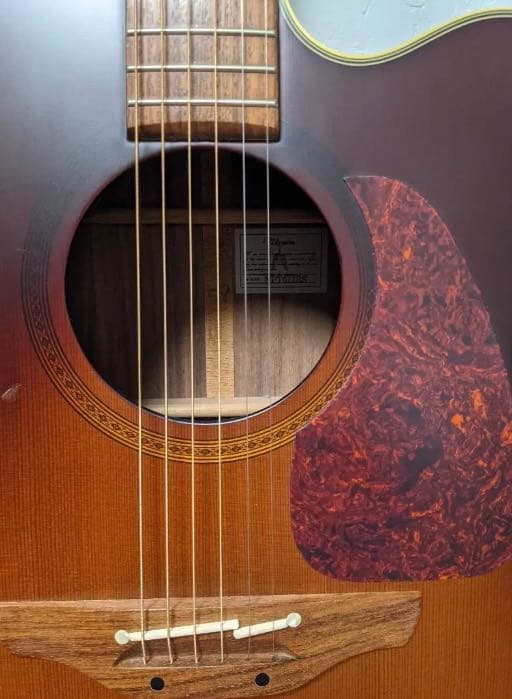 Takamine NPT012BS エレアコ ギター 長渕剛
