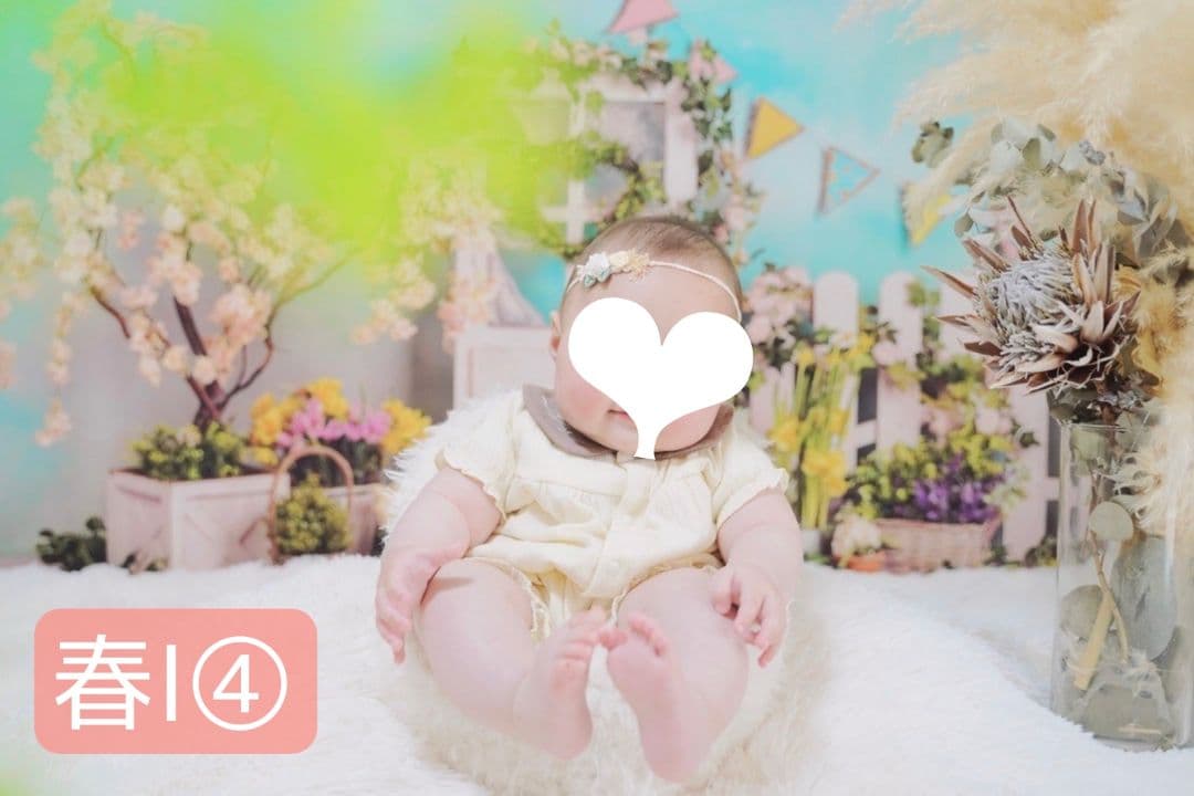 背景布【春O】サンプル ペット、トリミング撮影用フォトブース 縦長 桜