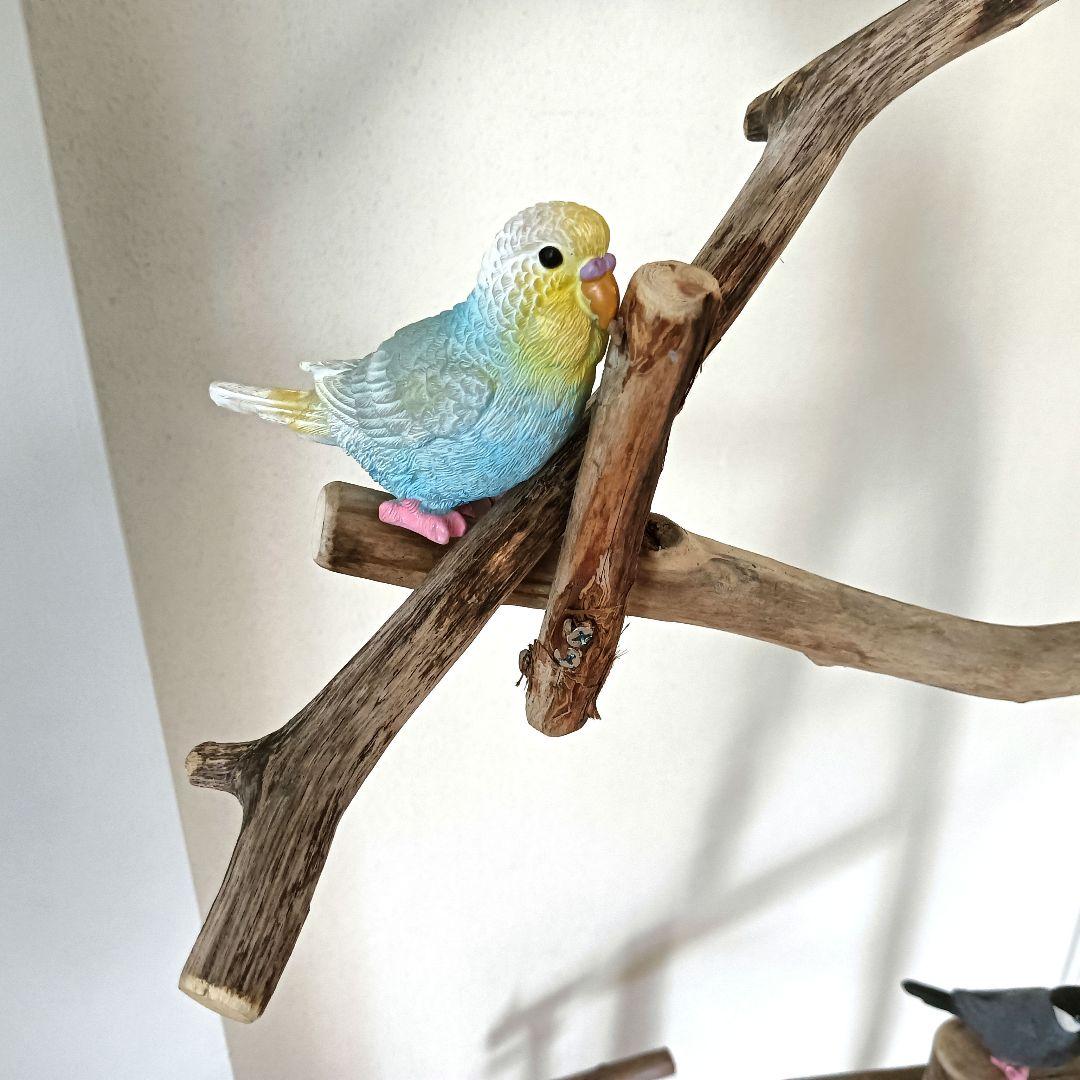 バードアスレチックジ厶 天然木 自然木 流木 インコ 止まり木 インコ