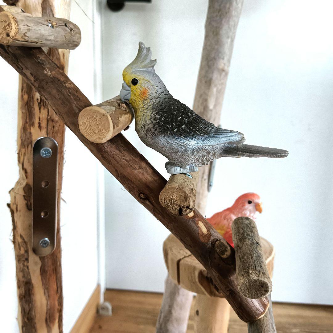 バードアスレチックジ厶 天然木 自然木 流木 インコ 止まり木 インコ