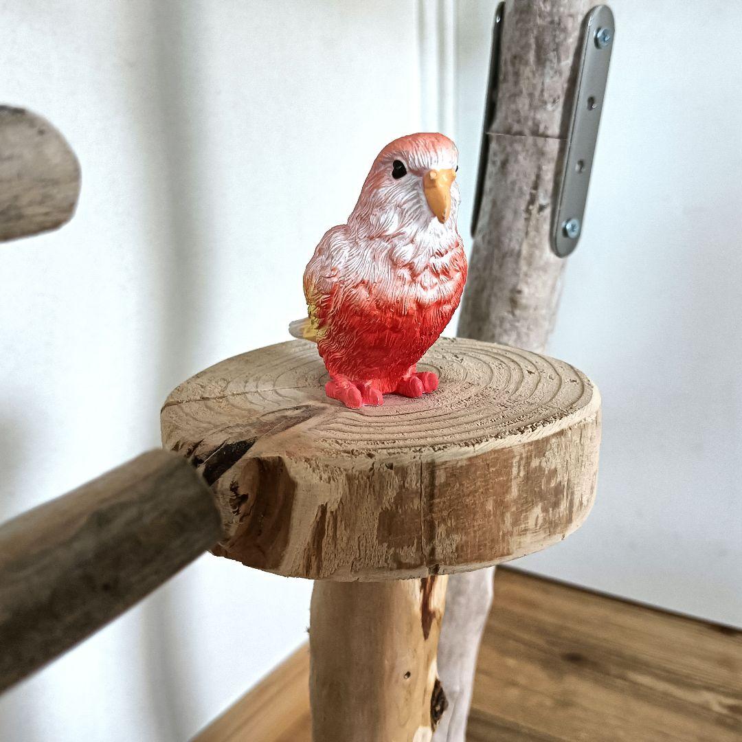 バードアスレチックジ厶 天然木 自然木 流木 インコ 止まり木 インコ