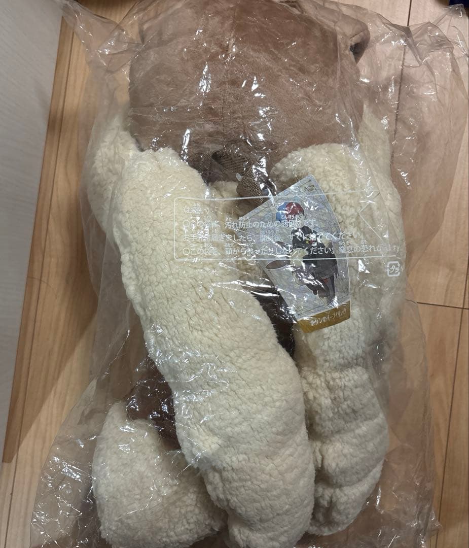 新品 ボタンのイーブイリュック