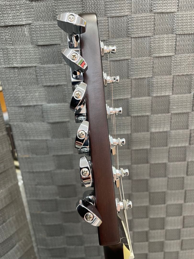 Bacchus BARON-STD/WH P90タイプピックアップ ケース付