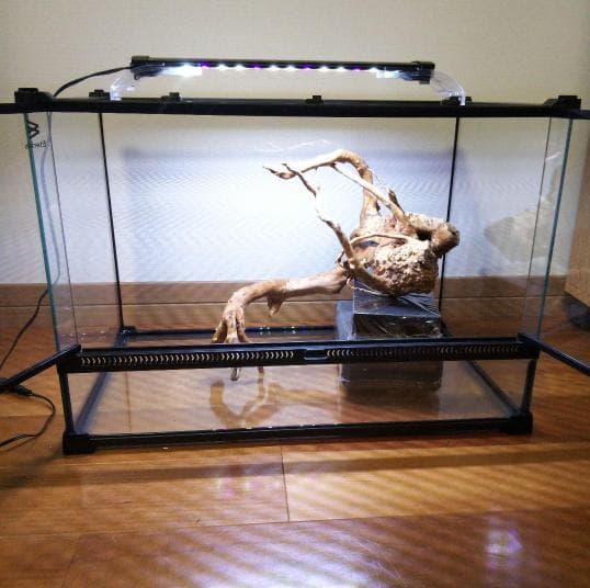 阿部麗華ページ