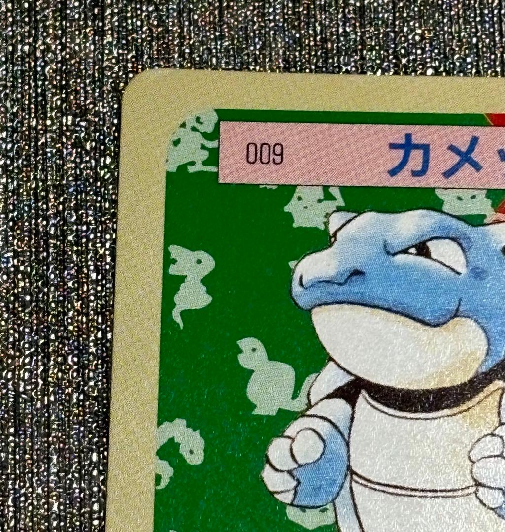 セット】ポケモンカード トップサン カメックス 裏緑 カメール 裏青