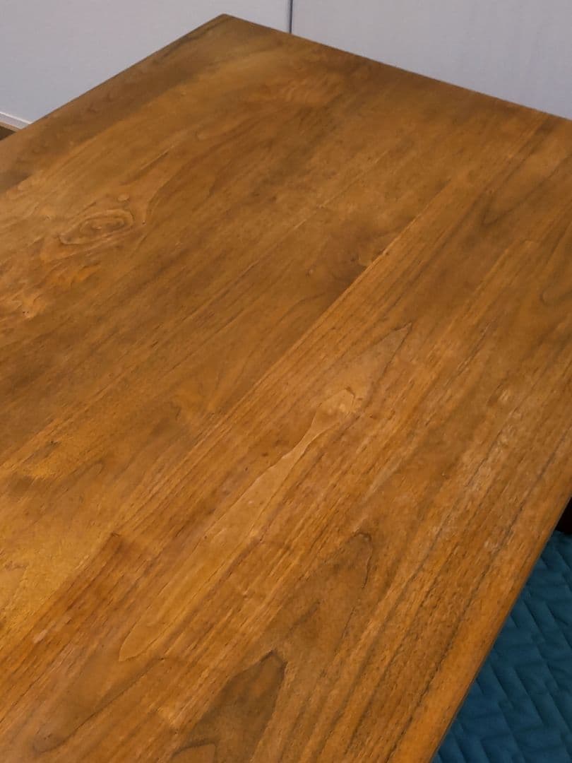 ゆきちゃんです ACTUS REN ダイニングテーブル 天板のみ