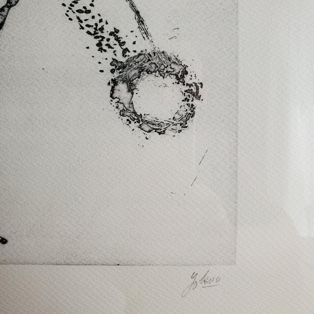 横尾忠則 リトグラフ 夢シリーズ 二人の私 銅版画 直筆サイン 限定20部