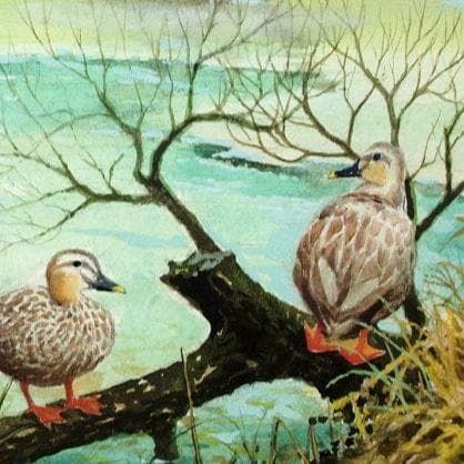 絵画「鴨の池の午後」　水彩画