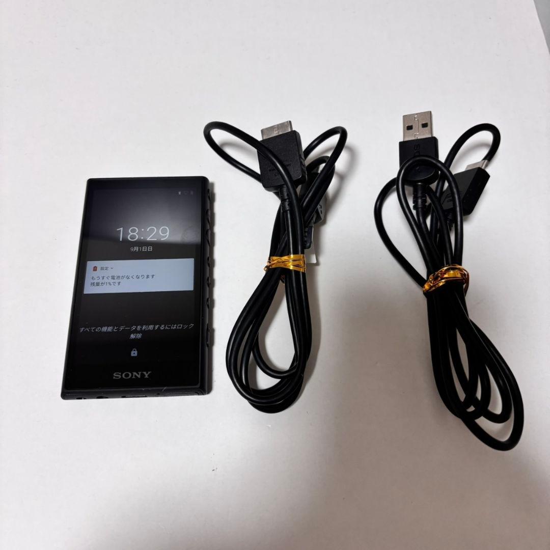 SONY NW-A105 16GB デジタルオーディオプレーヤー ジャンク - メルカリ
